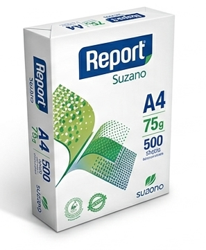 Report
